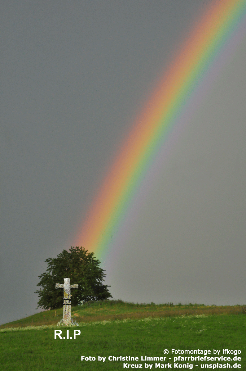 Regenbogen vor dunklem Himmel, davor ein einzelner Baum, davor ein Feldkreuz